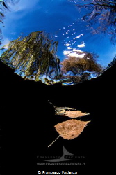 [:b:]Autumn under freshwater[:/B] by Francesco Pacienza 